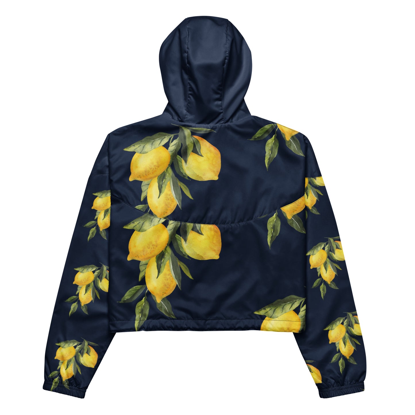 LEMONADE windbreaker