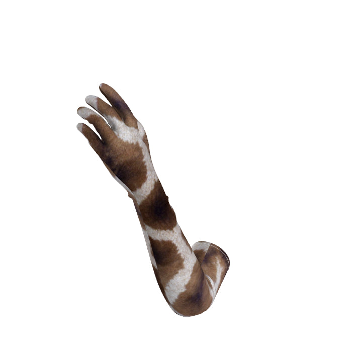 Gloves b